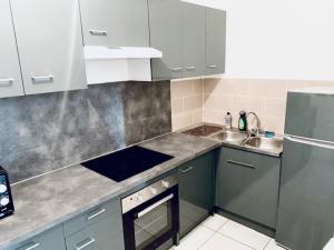 a kitchen with gray cabinets and a sink and a stove at MAISON 2 CHAMBRES - LILLE - 4 PERS - 300m METRO in Lille