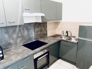 een keuken met grijze kasten, een wastafel en een fornuis bij MAISON 2 CHAMBRES - LILLE - 4 PERS - 300m METRO in Lille