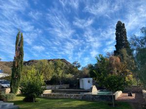 un parque con árboles y un cielo azul en The Olive House, Prince Albert, en Prince Albert