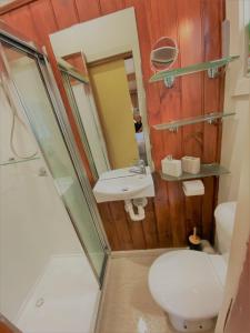a bathroom with a toilet and a sink and a shower at Mountain Retreat Suitable for 2 Families, Sleeps 8 in Mount Buller +35 photos