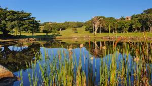 a reflection of a golf course in a pond at San Lameer Villa 1914 - 2 Bedroom Standard - 4 pax - San Lameer Rental Agency in Southbroom