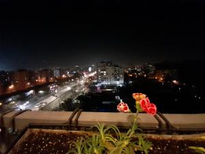 una vista di una città di notte con due fiori di Isabel's B&B a Tirana