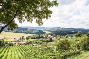 un vigneto sulle colline di prova di De Merin Boutique Hotel Straden a Straden