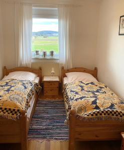 2 camas en una habitación con ventana en Ferienwohnungen Anna Altmann, en Furth im Wald