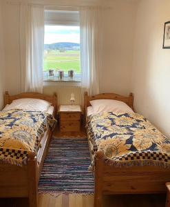 two beds in a room with a window at Ferienwohnungen Anna Altmann in Furth im Wald