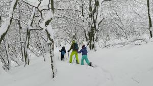 Gran Paradiso v zimě