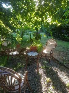 a group of chairs and a table under a tree at White Lady B&B in Monticelli dʼOngina