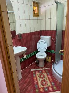 ein kleines Bad mit WC und Waschbecken in der Unterkunft Camere de închiriat Floarea reginei in Vişeu de Sus