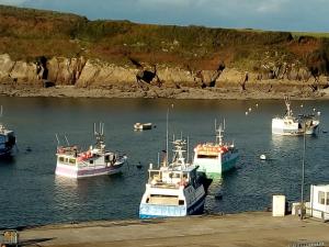 a group of boats in a body of water at Hotel Au Bout Du Monde in Le Conquet