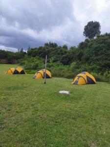 a group of three tents in a field at Camp Mahon Gardens in Nanyuki