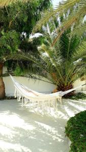 a white hammock in a garden with palm trees at Hotel Villa Soleil in Sidi Kaouki