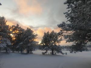 Galeriebild der Unterkunft Solvang camping og leirsted in Alta