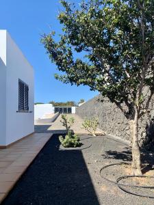 a tree in a yard next to a stone wall at Casas Tomare II in San Bartolomé