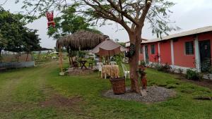 a tree with a table and chairs next to a building at La Viña de OsCar in Nuevo Imperial