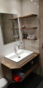 uma casa de banho com um lavatório, um espelho e um WC. em Appartement Mangeng em Bartholomäberg