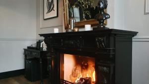 a fireplace with a fire in it in a room at Residenz Stadslogement in The Hague