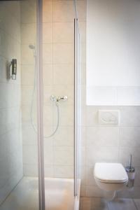 a bathroom with a shower and a toilet at Hotel am Landeshaus in Wiesbaden