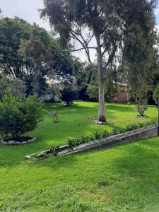 un parque con un árbol y césped verde en La Posada del Aromito - Suite, en Quito