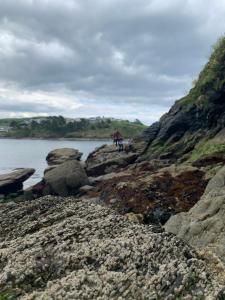 Φωτογραφία από το άλμπουμ του The Ship Inn Fowey σε Fowey