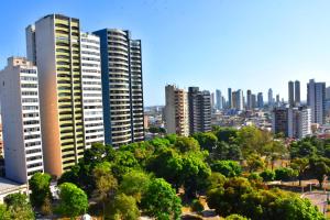 um horizonte da cidade com edifícios altos e árvores em Hotel Grão Para em Belém