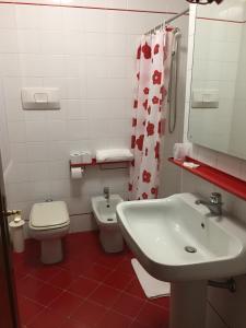 een badkamer met een wastafel, een toilet en een spiegel bij il PoetaContadino in Casalbuttano