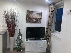 a living room with a television and a christmas tree at Newcastle City Centre Apartment Ideal for Holiday, Contractors, Quarantining in Newcastle upon Tyne