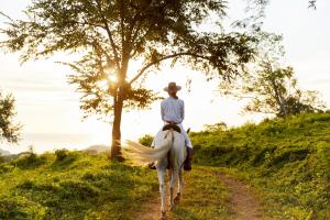 una persona montando un caballo blanco por un camino de tierra en TreeCasa Hotel & Resort Nicaragua, en San Juan del Sur