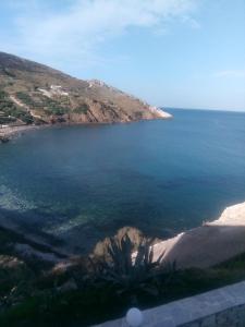 a large body of water with a palm tree in the foreground at Balcony to Aegeon 1 in Apollon