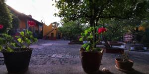 Zahrada ubytování Hotel Sautto
