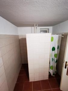 Ванна кімната в Chata pod májovou muldou