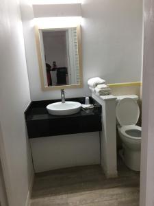 bagno con lavandino, servizi igienici e specchio di Sands Motel a Van Horn