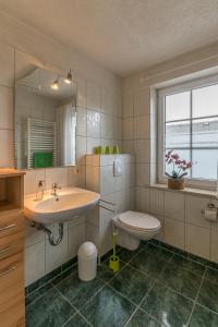 W łazience znajduje się umywalka, toaleta i lustro. w obiekcie Landhaus Rundblick im Elbsandsteingebirge bei Bad Schandau w mieście Rathmannsdorf