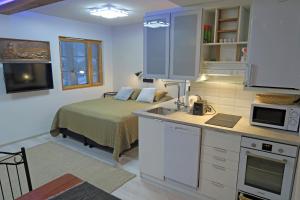 a kitchen with a bed and a sink in a room at Apartments Tahko in Tahkovuori