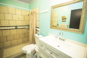 a bathroom with a toilet, sink and mirror at Arnott's Lodge & Hiking Adventures in Hilo