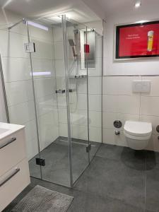 W łazience znajduje się przeszklony prysznic i toaleta. w obiekcie Luxus Appartement Kapstadt w mieście Bergisch Gladbach