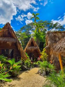 a group of huts with palm trees and plants at Buena Onda Bungalows in Santa Teresa Beach