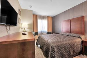 a hotel room with a bed and a desk with a television at Hotel Pergola Jamaica JFK in Queens