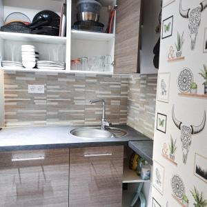a kitchen with a sink and cabinets with animals on the wall at L'appart du Petit Prince By Beds4Wanderlust - Fabuleux T2 avec jardin - Gare Plaisir Grignon in Plaisir