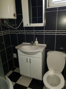 Un baño pequeño con inodoro y lavabo. en Zlatiborska jutra, en Zlatibor