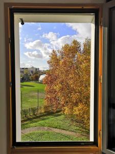a window with a view of a tree at Studio lumineux 10 min à La Défense in Rueil-Malmaison
