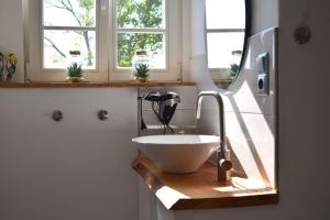 a bathroom with a sink and a mirror at Kleine-Schwalbe in Kabelhorst