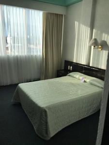 Postel nebo postele na pokoji v ubytování Hotel Real Rex