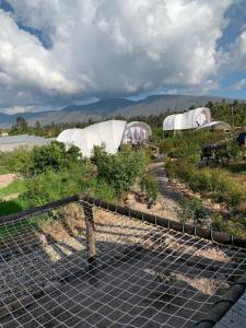 Příroda nedaleko luxury tent