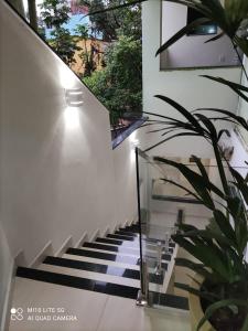 a staircase in a house with a potted plant at Pousada das Letras in São Thomé das Letras