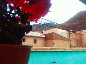 a vase with a plant in a window with a building at Hospedaje Ale in Iruya
