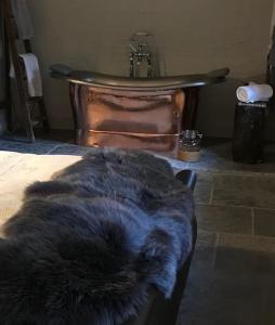 a cat laying on the floor next to a bath tub at Street Farmhouse in Godshill