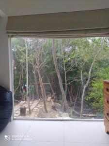 Espaço Mangue House外面的花园