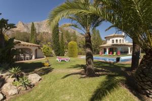 a house with a palm tree and a swimming pool at Casa Ponoig in Polop