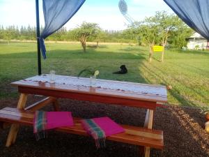 a picnic table with a black dog sitting on the grass at La Solita in Chajarí