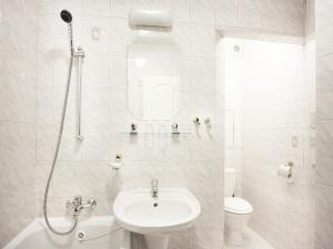 Koupelna v ubytování Hotel Milan Vopicka